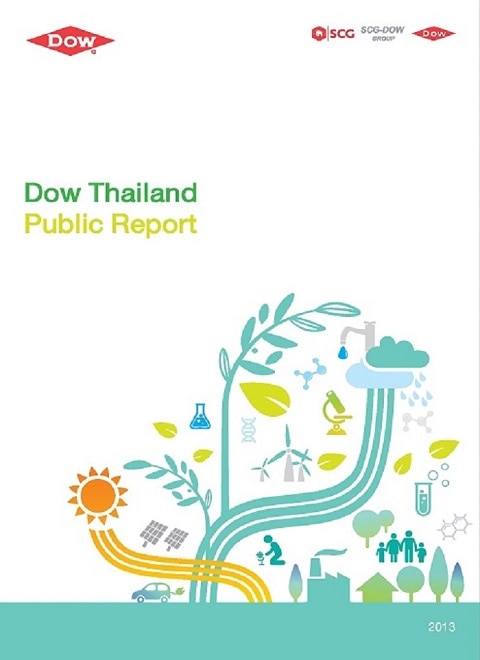 2013 Public report English