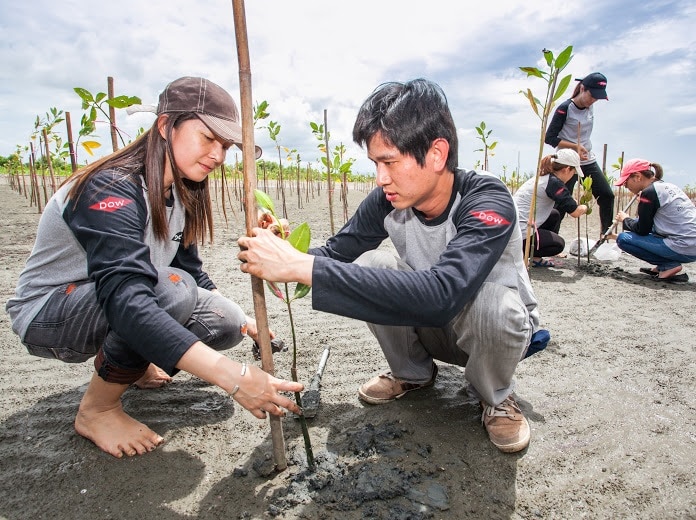 Two people planting trees